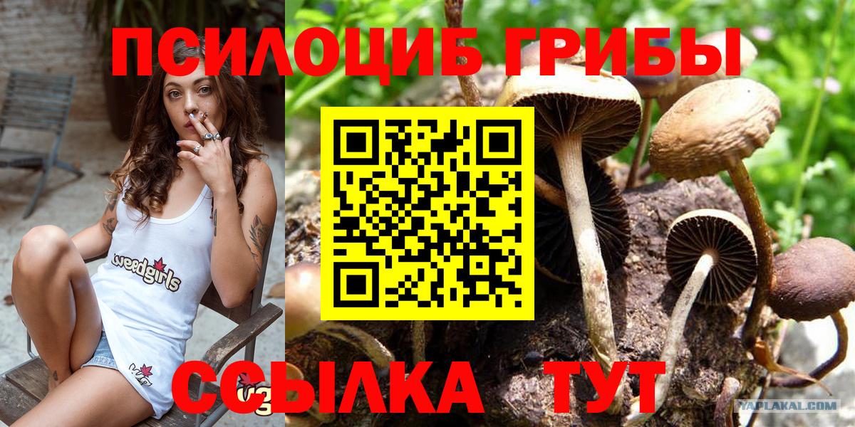 Псилоцибиновые грибы Magic Shrooms  Псилоцибиновые грибы Psilocybe  Красноуфимск  Вход с VPN 
